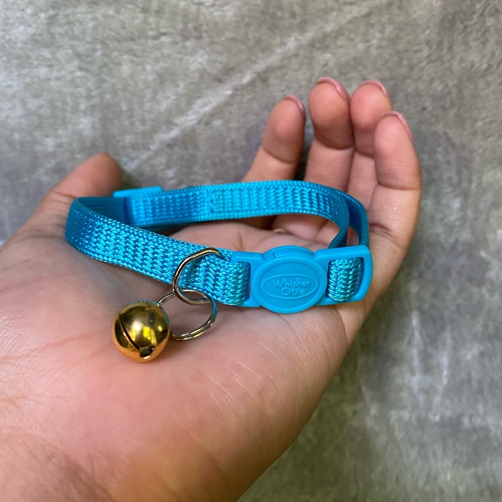 Kitten Collar
